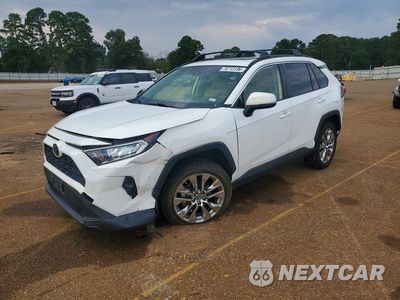2019 TOYOTA RAV4 XLE PREMIUM JTMA1RFV9KD016492 - główne zdjęcie licytacji z USA - miniatura