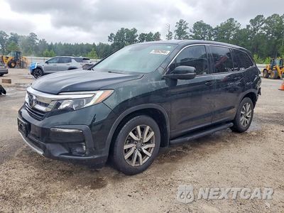 2019 HONDA PILOT EXL 5FNYF5H5XKB035499 - główne zdjęcie licytacji z USA - miniatura