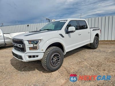 2019 FORD F150 RAPTOR 1FTFW1RGXKFA76159 - główne zdjęcie licytacji z USA - miniatura