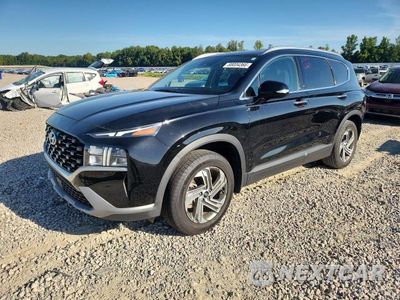 2023 HYUNDAI SANTA FE SEL 5NMS24AJXPH490541 - główne zdjęcie licytacji z USA - miniatura
