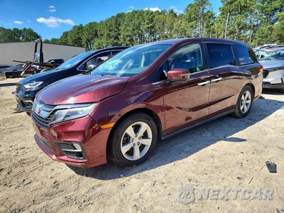 2019 HONDA ODYSSEY EXL 5FNRL6H76KB125382 - główne zdjęcie licytacji z USA - miniatura