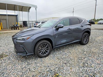 2023 LEXUS NX 250 2T2GDCAZ2PC005066 - główne zdjęcie licytacji z USA - miniatura