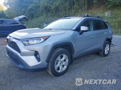 2019 TOYOTA RAV4 XLE 2T3P1RFV8KC038840 - główne zdjęcie licytacji z USA - miniatura