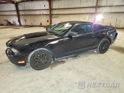 2011 FORD MUSTANG 1ZVBP8AM8B5146427 - główne zdjęcie licytacji z USA - miniatura