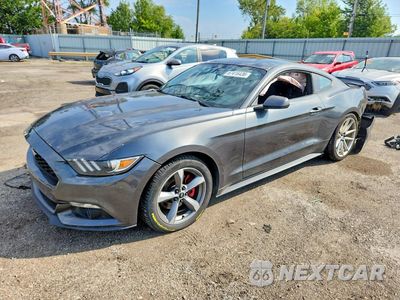 2017 FORD MUSTANG 1FA6P8TH4H5217397 - główne zdjęcie licytacji z USA - miniatura