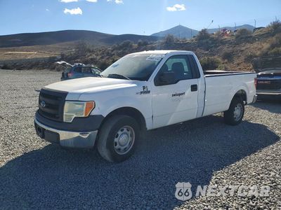 2014 FORD F150 1FTMF1CM6EKG57854 - główne zdjęcie licytacji z USA - miniatura