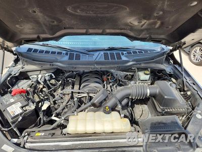 Zdjęcie 11 z 12 samochodu: 2022 FORD F150 SUPERCREW VIN:1FTEW1C57NKD75882 - miniatura