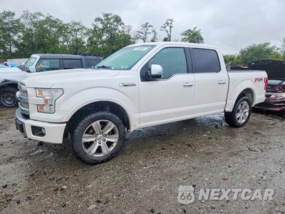 2016 FORD F150 SUPERCREW 1FTEW1EF1GFD29756 - główne zdjęcie licytacji z USA - miniatura
