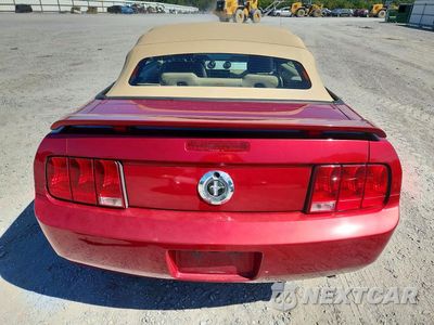 Zdjęcie 6 z 12 samochodu: 2006 FORD MUSTANG VIN:1ZVFT84N965118272 - miniatura