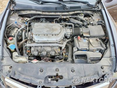 Zdjęcie 11 z 12 samochodu: 2011 HONDA ACCORD EXL VIN:1HGCP3F85BA015020 - miniatura