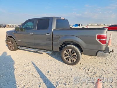 Drugie zdjęcie samochodu z przodu: 2013 FORD F150 SUPERCREW VIN:1FTFW1CT3DKG46440 - miniatura