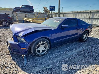 2013 FORD MUSTANG 1ZVBP8AM7D5207334 - główne zdjęcie licytacji z USA - miniatura
