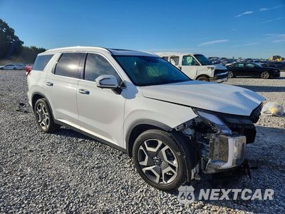 Czwarte zdjęcie samochodu z boku: 2024 HYUNDAI PALISADE SEL PREMIUM VIN:KM8R4DGE4RU692592 - miniatura