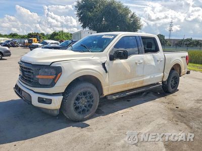 2024 FORD F150 XLT 1FTEW3LPXRKD39431 - główne zdjęcie licytacji z USA - miniatura