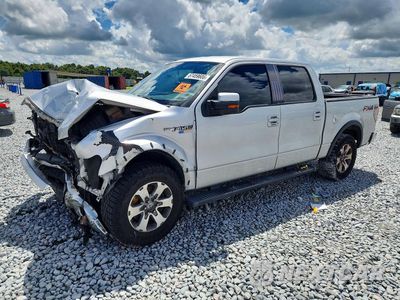 2013 FORD F150 SUPERCREW 1FTFW1EF8DFB06890 - główne zdjęcie licytacji z USA - miniatura