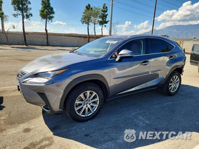 2020 LEXUS NX 300 BASE JTJAARBZ5L5014286 - główne zdjęcie licytacji z USA - miniatura