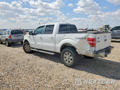 Drugie zdjęcie samochodu z przodu: 2013 FORD F150 SUPERCREW VIN:1FTFW1EF0DFC42060 - miniatura