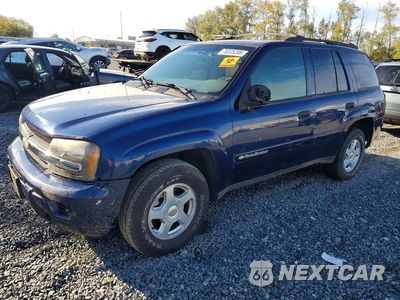 2002 CHEVROLET TRAILBLAZER 1GNDS13S622325748 - główne zdjęcie licytacji z USA - miniatura