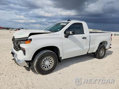 2025 CHEVROLET SILVERADO C1500 3GCNAAEK8SG103619 - główne zdjęcie licytacji z USA - miniatura