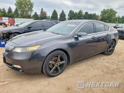 2012 ACURA TL 19UUA8F59CA024877 - główne zdjęcie licytacji z USA - miniatura