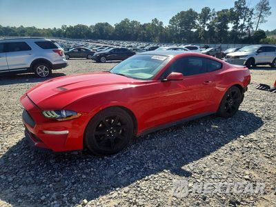 2019 FORD MUSTANG 1FA6P8TH3K5132607 - główne zdjęcie licytacji z USA - miniatura
