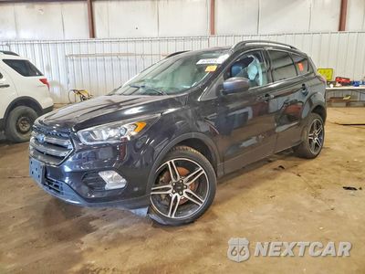 2019 FORD ESCAPE SEL 1FMCU9HD9KUC55668 - główne zdjęcie licytacji z USA - miniatura