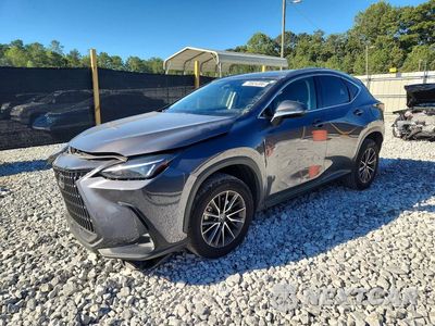 2022 LEXUS NX 250 JTJADCAZ0N2001892 - główne zdjęcie licytacji z USA - miniatura