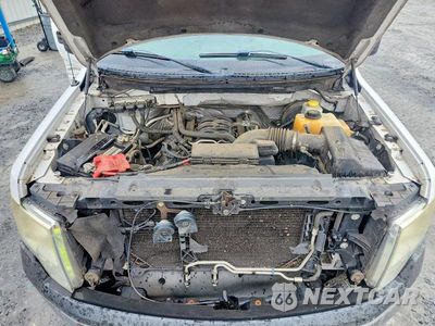 Zdjęcie 11 z 12 samochodu: 2014 FORD F150 SUPERCREW VIN:1FTFW1CF5EKG34978 - miniatura