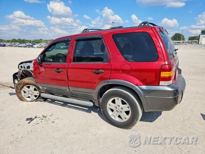 Drugie zdjęcie samochodu z przodu: 2006 FORD ESCAPE XLT VIN:1FMYU03116KB99578 - miniatura