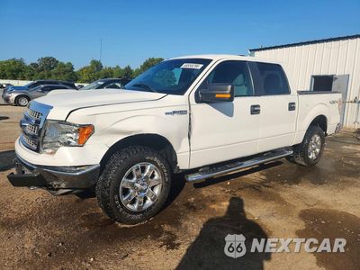 2013 FORD F150 SUPERCREW 1FTFW1EFXDKD15605 - główne zdjęcie licytacji z USA - miniatura