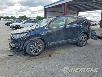 2020 HONDA CR-V EX 2HKRW1H55LH420582 - główne zdjęcie licytacji z USA - miniatura