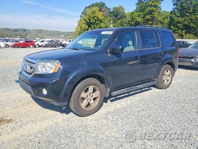 2011 HONDA PILOT EXL 5FNYF4H54BB106447 - główne zdjęcie licytacji z USA - miniatura