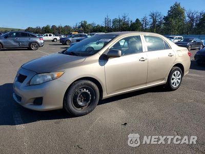 2010 TOYOTA COROLLA LE 1NXBU4EE6AZ253385 - główne zdjęcie licytacji z USA - miniatura