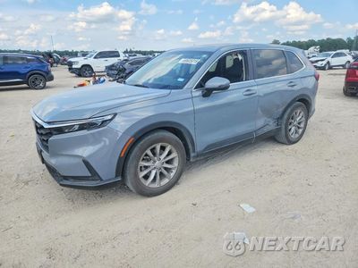2023 HONDA CR-V EXL 7FARS3H71PE001940 - główne zdjęcie licytacji z USA - miniatura