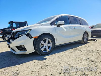 2019 HONDA ODYSSEY EXL 5FNRL6H72KB041351 - główne zdjęcie licytacji z USA - miniatura