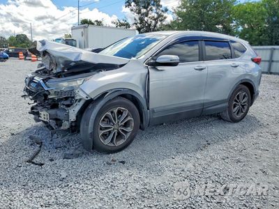 2021 HONDA CR-V EXL 5J6RW1H89MA007335 - główne zdjęcie licytacji z USA - miniatura