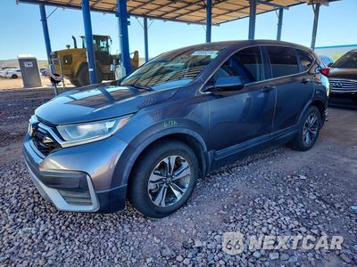 2020 HONDA CR-V LX 5J6RW1H22LA002553 - główne zdjęcie licytacji z USA - miniatura