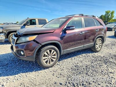 2011 KIA SORENTO LX 5XYKT4A28BG181577 - główne zdjęcie licytacji z USA - miniatura