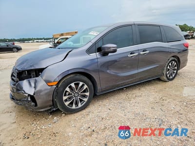 2024 HONDA ODYSSEY EXL 5FNRL6H62RB002809 - główne zdjęcie licytacji z USA - miniatura
