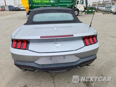 Zdjęcie 6 z 12 samochodu: 2026 FORD MUSTANG VIN:1FAGP8UH0T5115235 - miniatura
