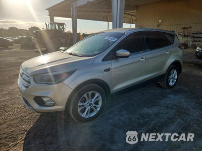 2017 FORD ESCAPE SE 1FMCU0GD8HUB66101 - główne zdjęcie licytacji z USA - miniatura