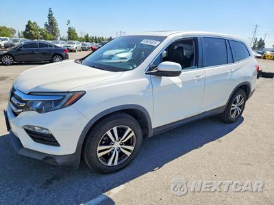 2018 HONDA PILOT EXL 5FNYF5H55JB019628 - główne zdjęcie licytacji z USA - miniatura