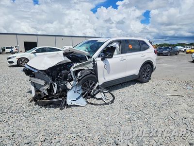 2026 HONDA CR-V EXL 5J6RS3H72TL003967 - główne zdjęcie licytacji z USA - miniatura