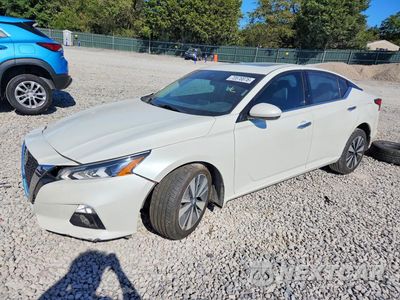 2022 NISSAN ALTIMA SL 1N4BL4EV8NN404708 - główne zdjęcie licytacji z USA - miniatura