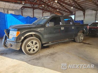 2014 FORD F150 SUPERCREW 1FTFW1EF5EFA76099 - główne zdjęcie licytacji z USA - miniatura