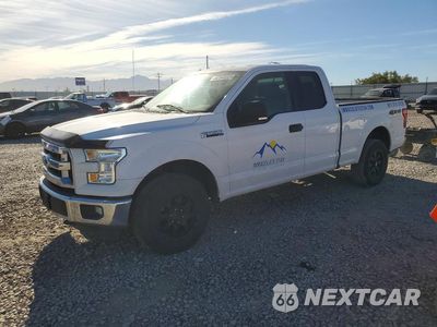2015 FORD F150 SUPER CAB 1FTFX1EF9FKD72359 - główne zdjęcie licytacji z USA - miniatura