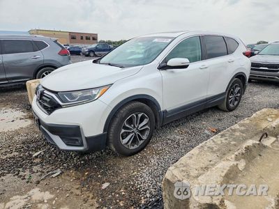 2020 HONDA CR-V EX 5J6RW1H55LA008177 - główne zdjęcie licytacji z USA - miniatura