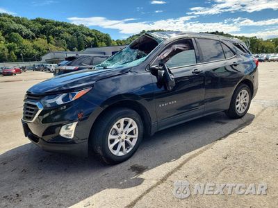 2019 CHEVROLET EQUINOX LS 3GNAXSEV1KL389079 - główne zdjęcie licytacji z USA - miniatura