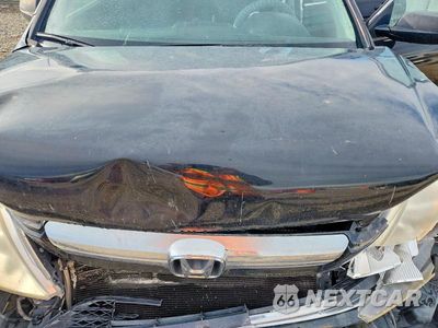 Zdjęcie 11 z 12 samochodu: 2009 HONDA CR-V EX VIN:JHLRE48559C004494 - miniatura
