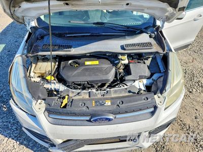 Zdjęcie 12 z 13 samochodu: 2014 FORD ESCAPE SE VIN:1FMCU0GXXEUA58262 - miniatura